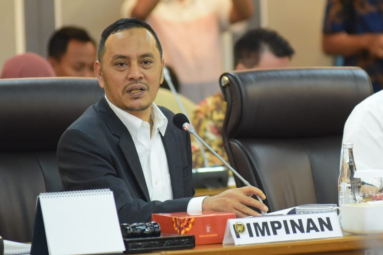 Willy Aditya: Pengibaran Bendera One Piece Tidak Berarti Melecehkan Simbol Negara