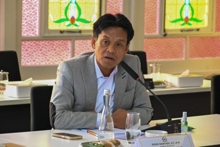 Komisi XI Dorong Perbankan Lebih Aktif Jemput UMKM Bantu Akses Pembiayaan